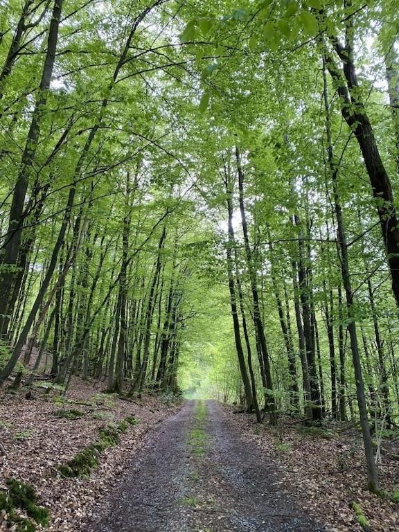 Ganze Ferienwohnung In Idyllischer Umgebung Werdohl Экстерьер фото